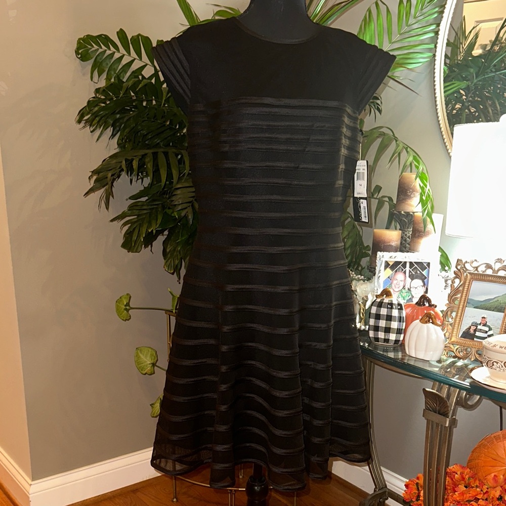 Betsy & Adam Black Sheer Striped Mini Dress